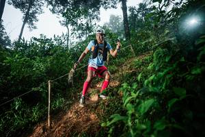 BIB: 
                            <button type="button" onclick="openModal(26202916)" class="btn btn-primary btn-sm float-right btn-popup" data-toggle="modal" data-target=".modal-high-quality">
                        <i class="fas fa-shopping-cart"></i> Add to Cart
                    </button>
                                            <button type="button" onclick="isThisMe(26202916, true)" class="btn btn-success btn-sm float-right btn-popup btn-isme hidden" data-toggle="tooltip" data-placement="bottom" title="นี่คือรูปของคุณใช่ไหม คลิกที่นี่เพื่อเอาเข้าอัลบั้ม">
                        <i class="fas fa-plus"></i> Add to album
                    </button>
                    <button type="button" onclick="isThisMe(26202916, false)" class="btn btn-warning btn-sm float-right btn-popup btn-isnotme hidden">
                        <i class="fas fa-ban"></i> Remove from album
                    </button>